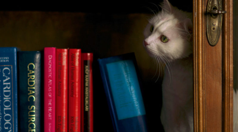 Книжная ярмарка NON/Fiction в Гостином дворе 2023